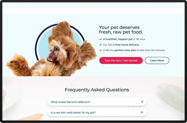 Preview of the Pet Food D2C e-commerce project